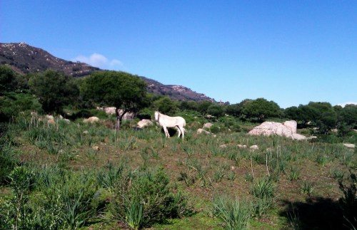 Tarifa para sentir bien.