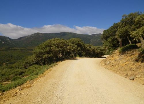 Tarifa, un paraíso para los ciclistas de montaña