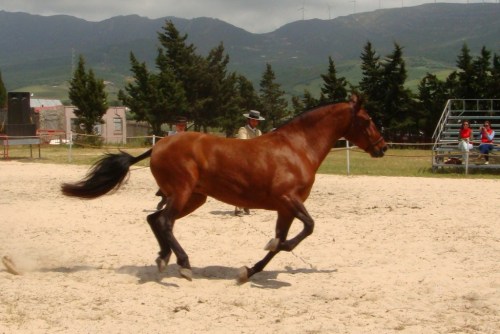 Muy buena ubicación y organización