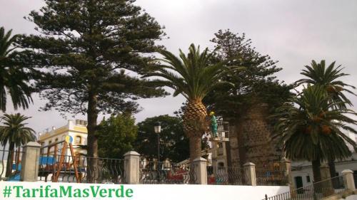 Tarifa Mas Verde