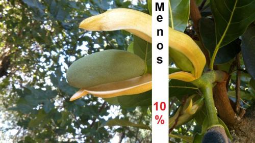 Salvar Parque Natural Los Alcornocales, No a la venta de 10% para pagar la deuda de España, Patetico.