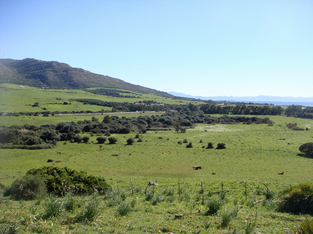 Wind una fuente de ingresos.
