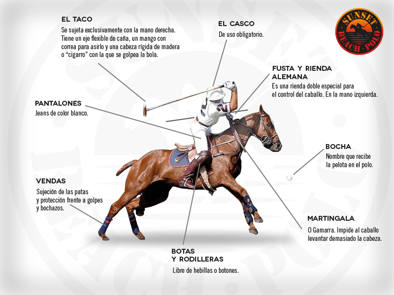 Guía Básica del Polo de Sunsetbeachpolo