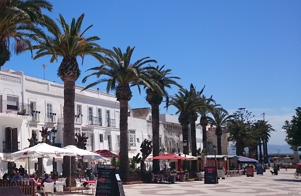 Terrazas de la Alameda