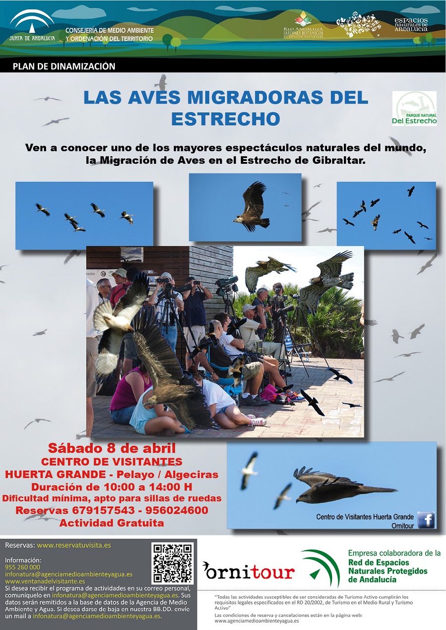 Migración Prenupcial 2017 en el estrecho