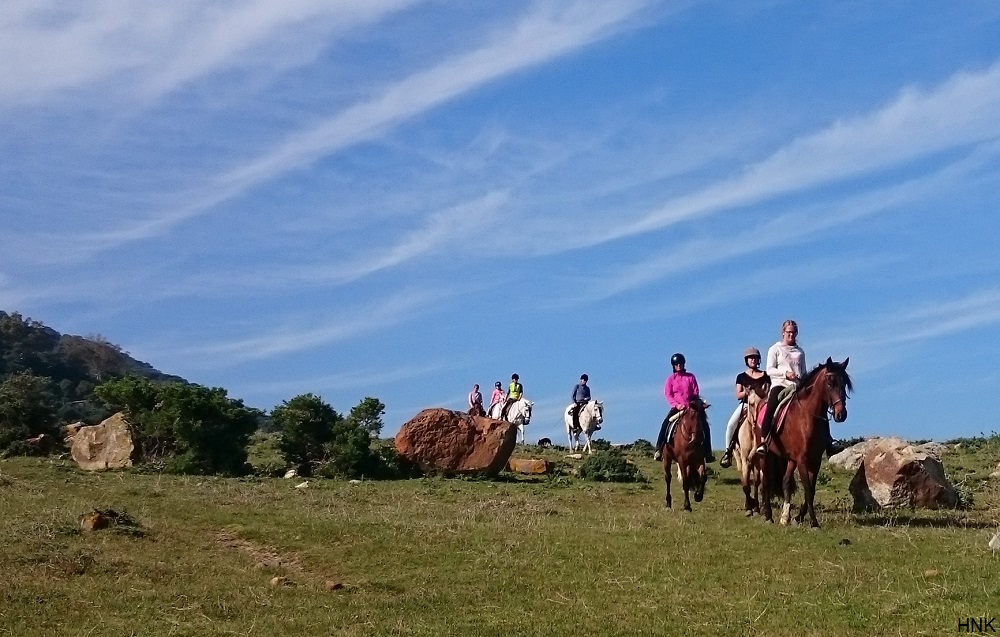 Rutas a caballo en un entorno único