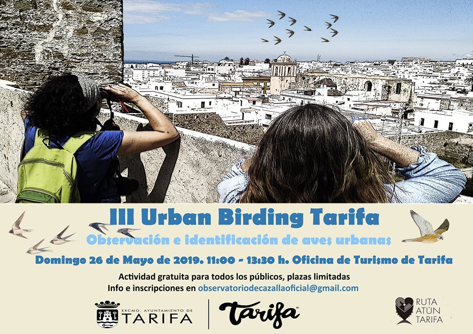 III Urban Birding Tarifa 2019