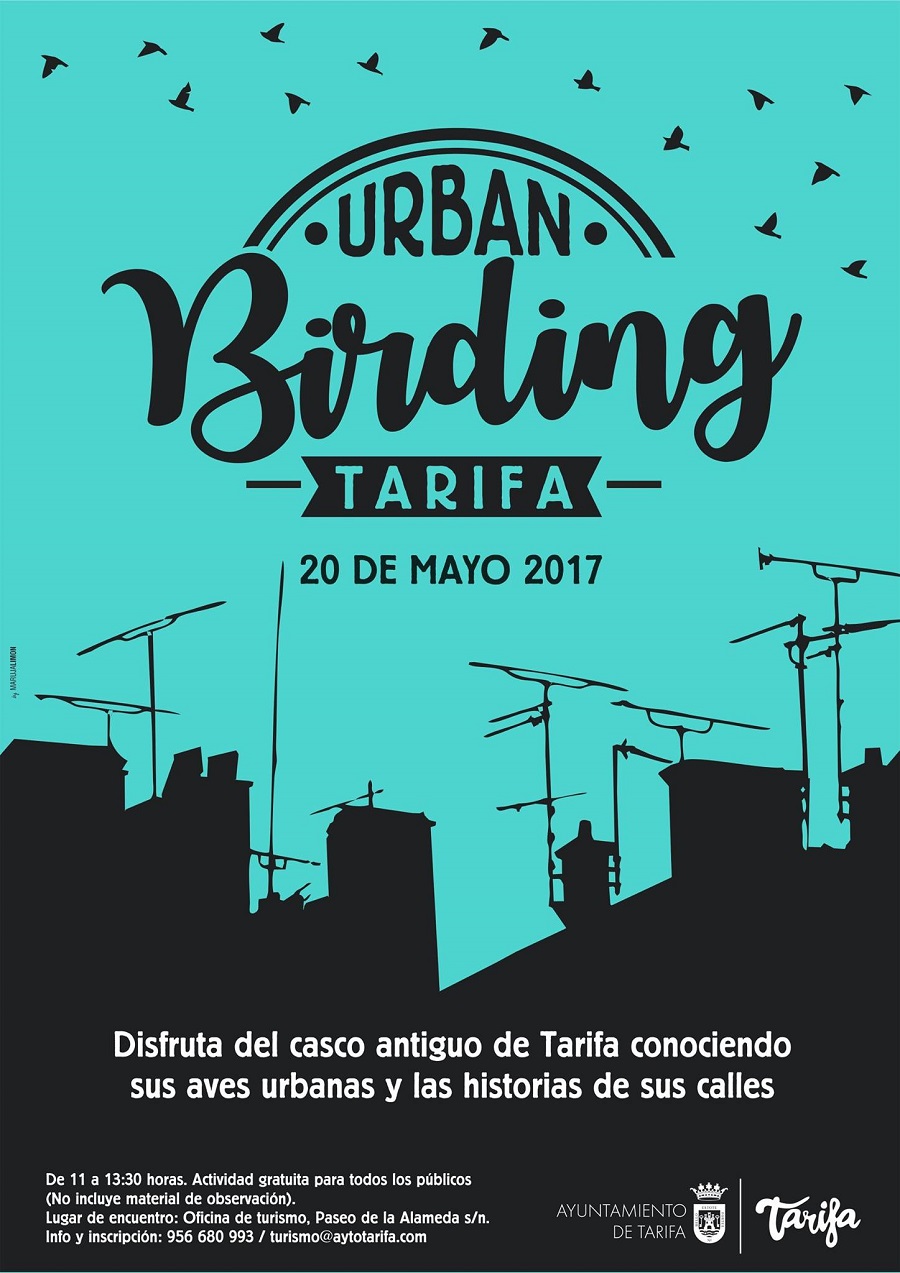 Urban Birding en Tarifa