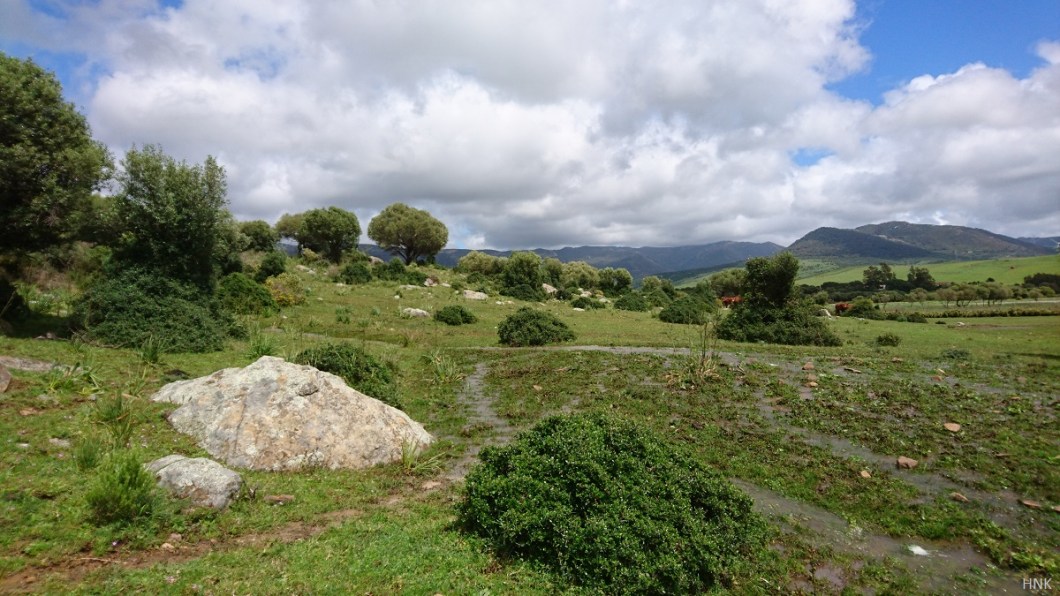 Abundancia de agua en el invierno del 2017 al 2018 en Tariifa