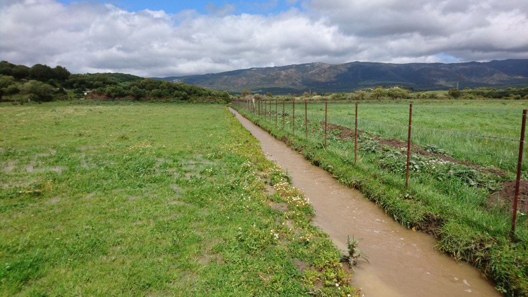 Guiar la agua a zonas que necesitan agua