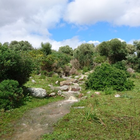 El sonido de pequeñas cascadas