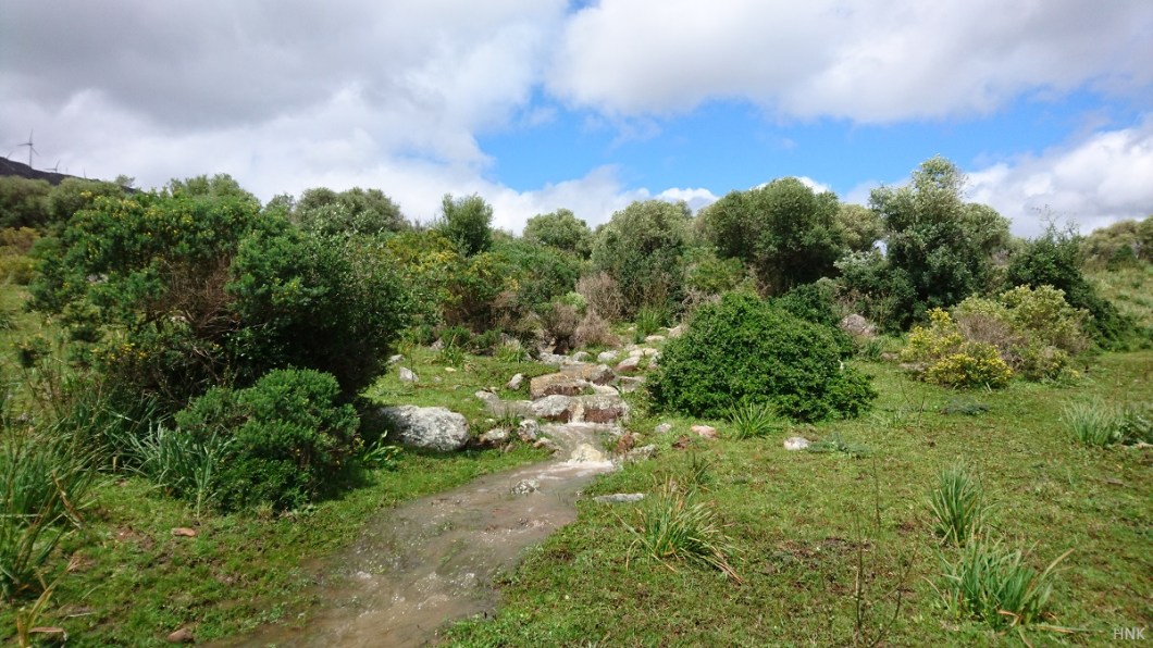 El sonido de pequeñas cascadas
