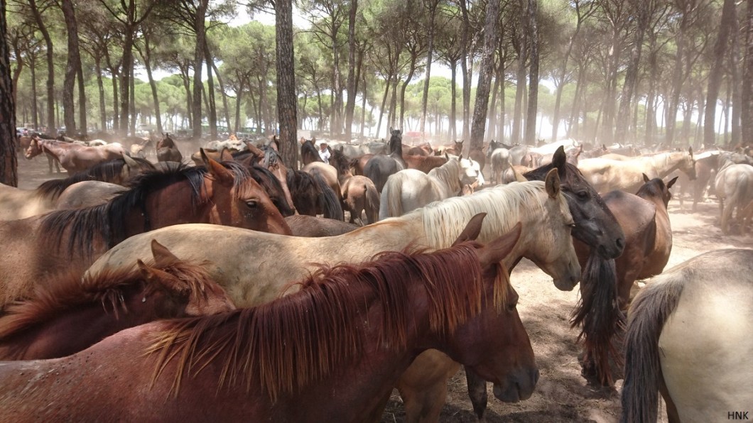 El Pastorcito, zona de descanso