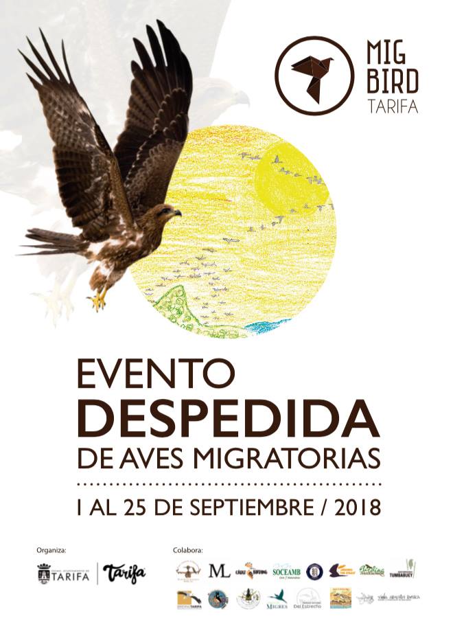 Evento despedida de aves migratorias