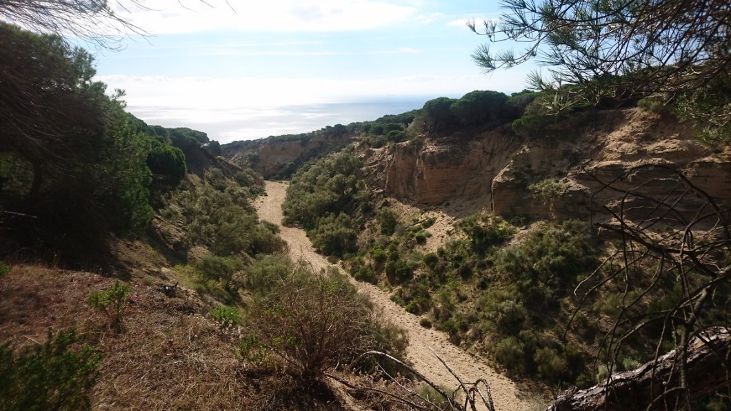 cañon del arroyo del puerco tarifa