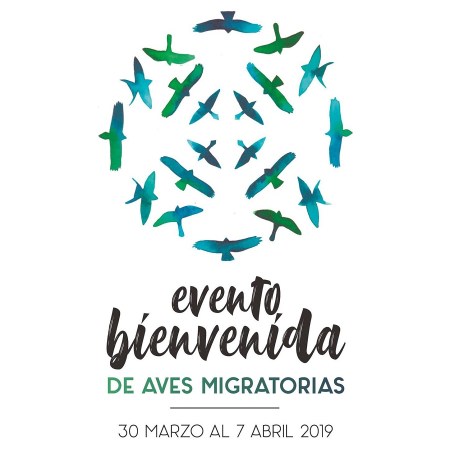 Mig Bird Tarifa 2019