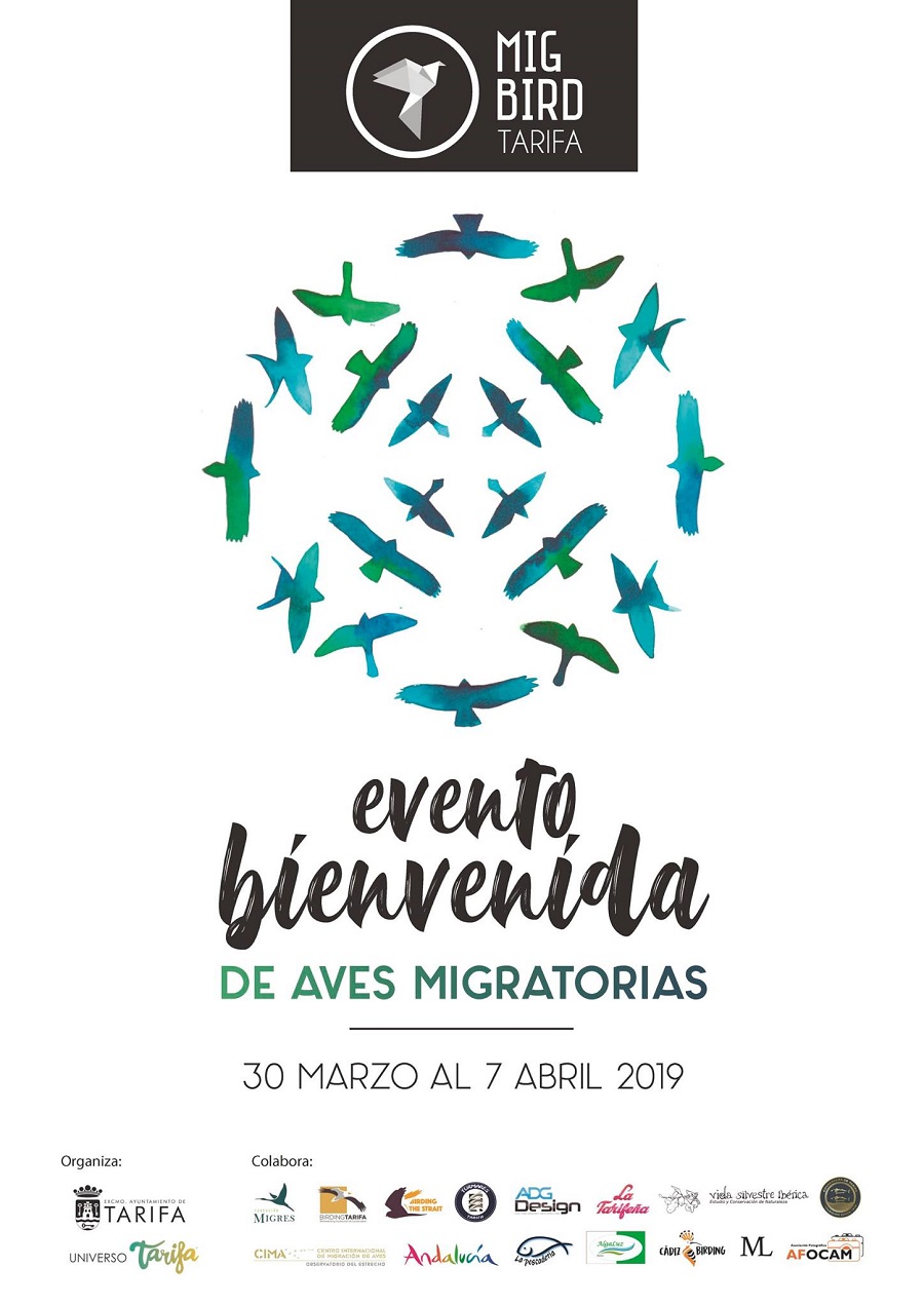 Mig Bird Tarifa 2019