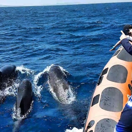 Una experiencia inolvidable