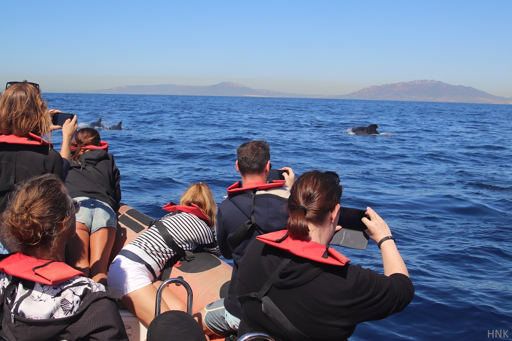 Avistamiento de ballenas en un zodiaco