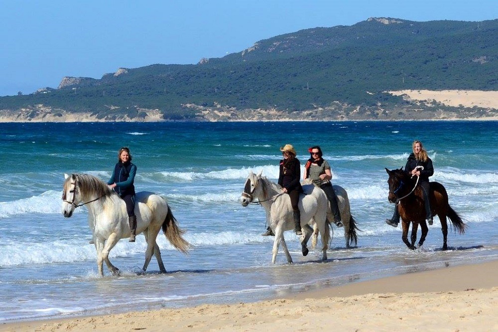 Montar a cabalo desde la costa del sol