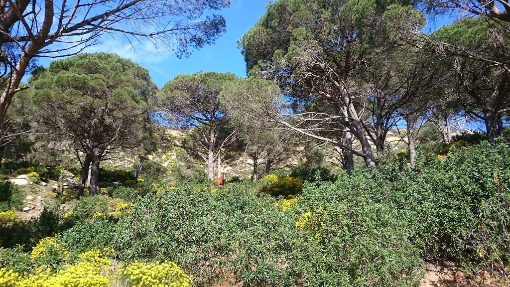 La Naturaleza De Tarifa