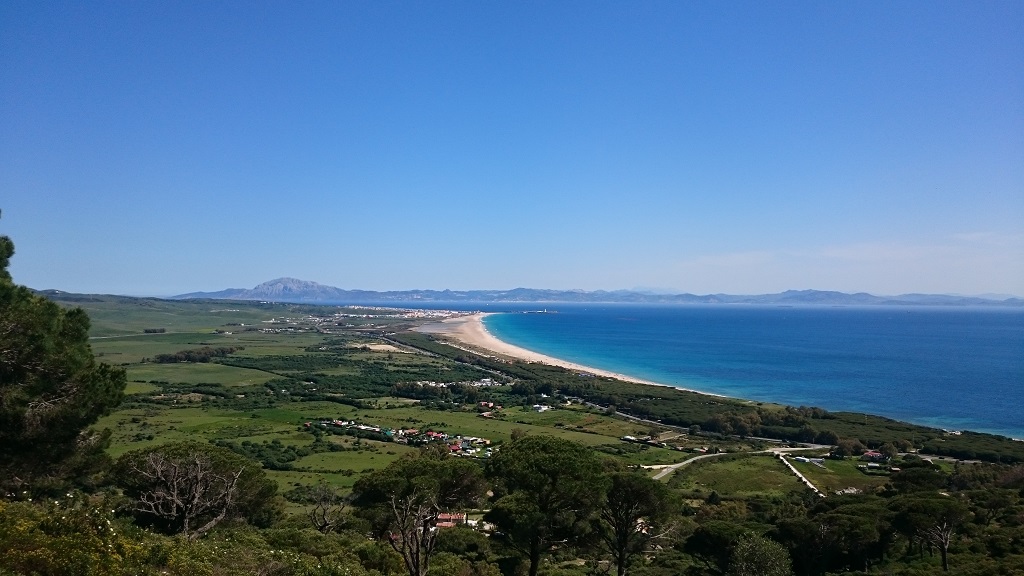 Tarifa