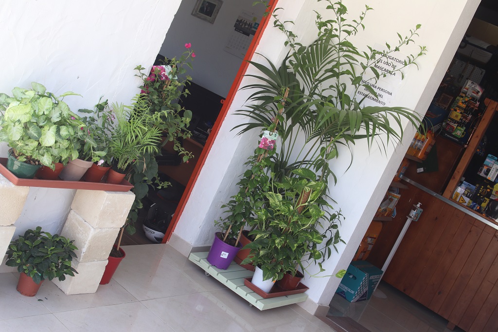 plantas de magimetran